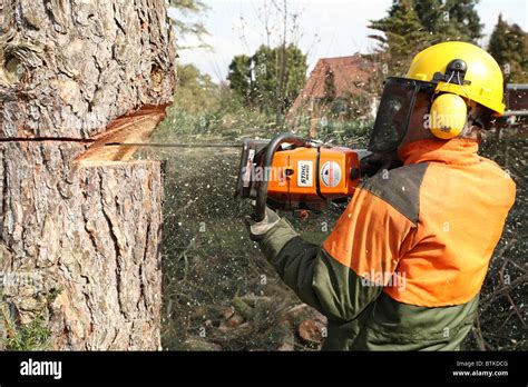 Man Cutting Tree High Resolution Stock Photography And Images Alamy