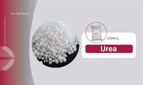 Urea Rayeneh Group