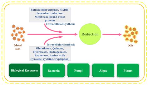 Green Synthesis Of Nanoparticles And Hazardous Wastes Encyclopedia Mdpi