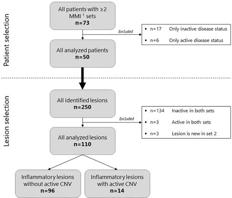 Exploring Imaging Characteristics Associated With Disease Activity In