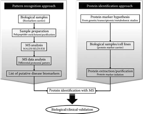 6 Biomarker Discovery Approaches Based On Ms Download Scientific Diagram