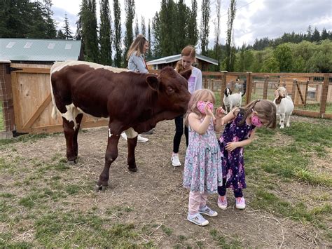 Schedule A Visit — Sammamish Animal Sanctuary.