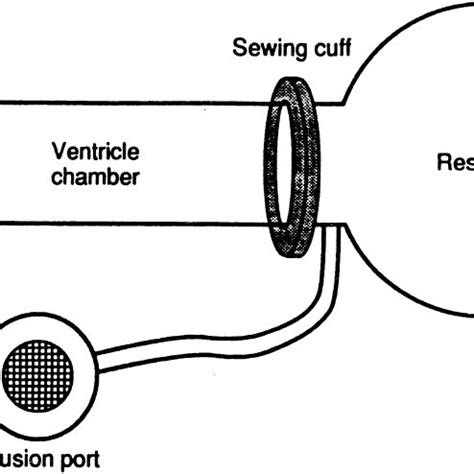 Silicone Elastomer Mandrel Used For Creation Of Skeletal Muscle