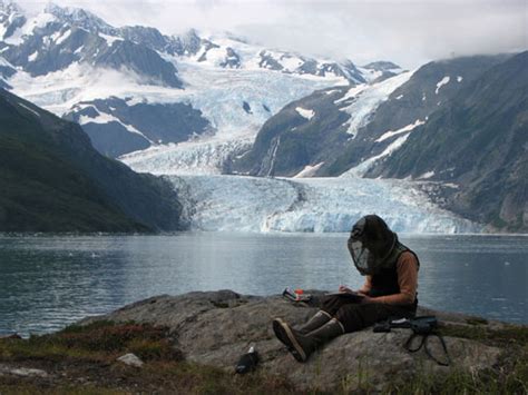 Voices Of The Wilderness Alaskan Artist Residency Program Sc Arts Hub