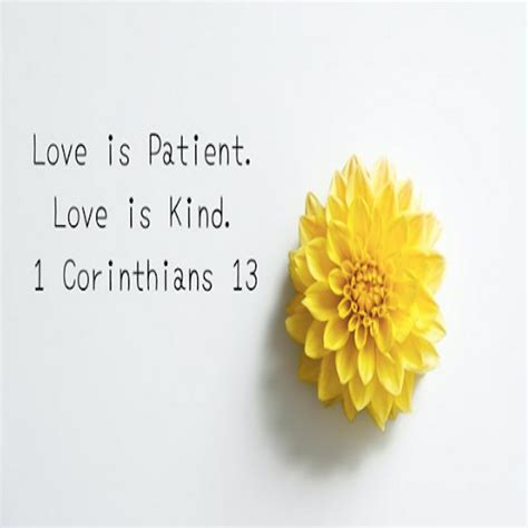 Love is Patient. Love is Kind. Bible Verses on Love: 1 Corinthians 13 | by BGodInspired | Medium