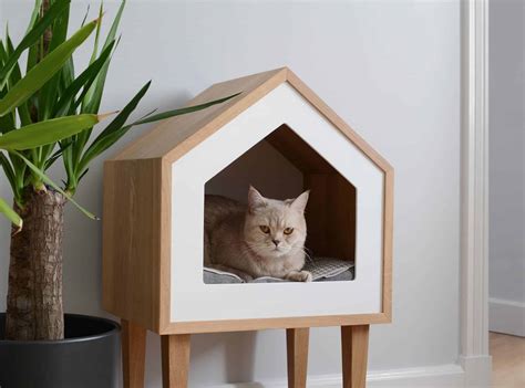 73 Gambar Desain Kamar Kucing Makin Keren Yang Wajib Dicoba