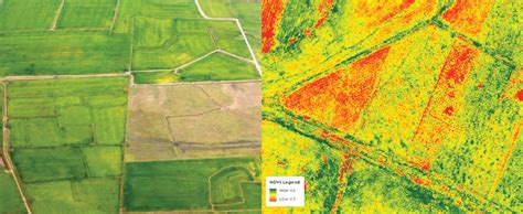 NDVI Como Utilizar A Tecnologia Para Realizar Um Bom Monitoramento