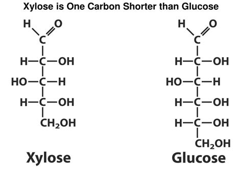 PPT Chapter 6 Protein Function Enzymes Part 2 PowerPoint