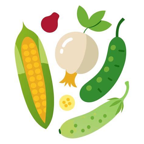 Corn Cucumber Daikon Radish Edamame Vegetables Clipart Vector Art And