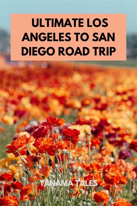 Driving from los angeles to san diego road trip itinerary – Artofit