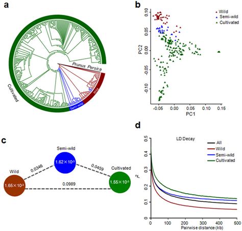 Population Diversity And Genetic Differentiation Analysis Of Wild