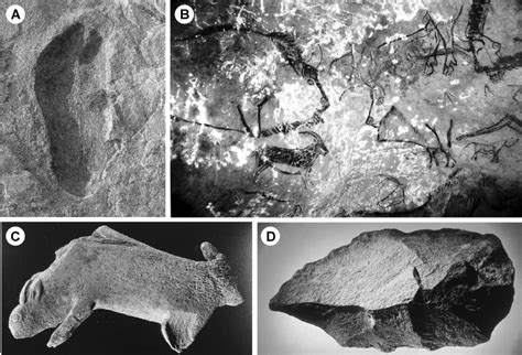 Some Traces Made By Activities Or Work Of Hominids A Laetoli