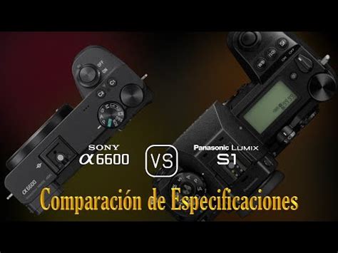 Sony A Vs Panasonic Lumix S Una Comparaci N De Especificaciones