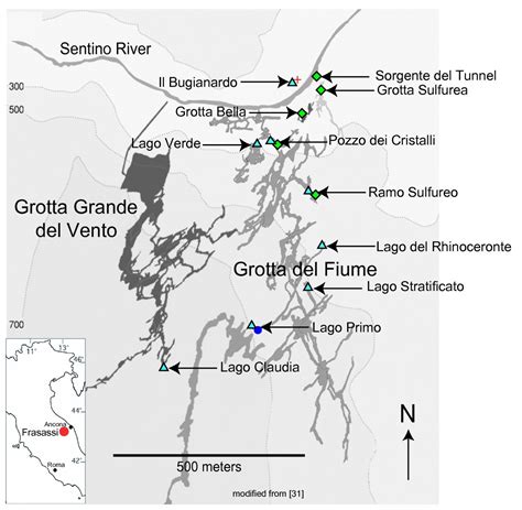 Schema E Piante Del Complesso Carsico Fiume Vento Di Frasassi