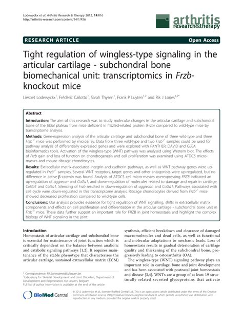 PDF Tight Regulation Of Wingless Type Signaling In The Articular