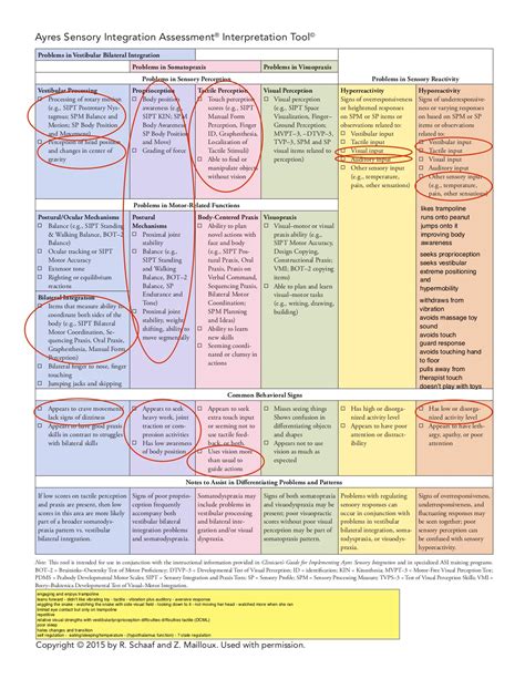 2015 Clinical Reasoning Form Copy ASI Wise Sensory Project Ayres