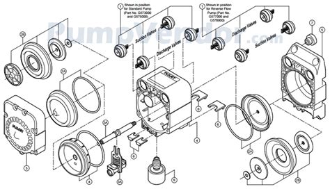 Flojet Water Pump Parts | Reviewmotors.co