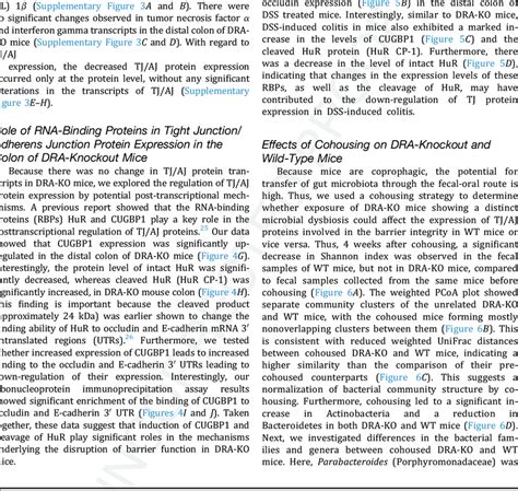 Loss Of Dra Results In Reduced Tj Aj Protein Expression In Colonoids