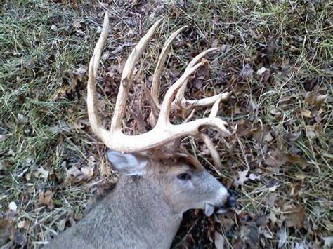 Whitetail Hunting: Giant Ohio Buck Shot | Whitetail Hunting