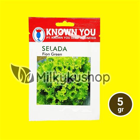 Jual BENIH KYS KNOWN YOU SEED SELADA FION GREEN 5 GRAM KEMASAN PABRIK