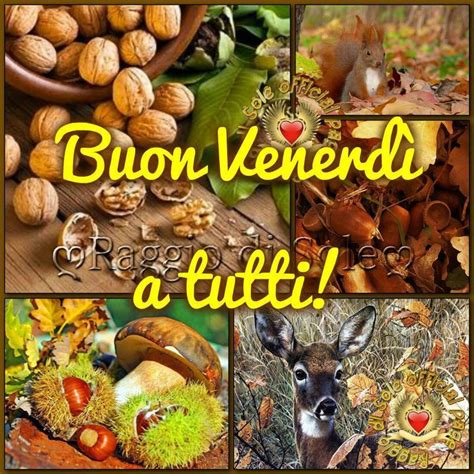 Immagini Buon Venerd In Autunno Buongiorni It