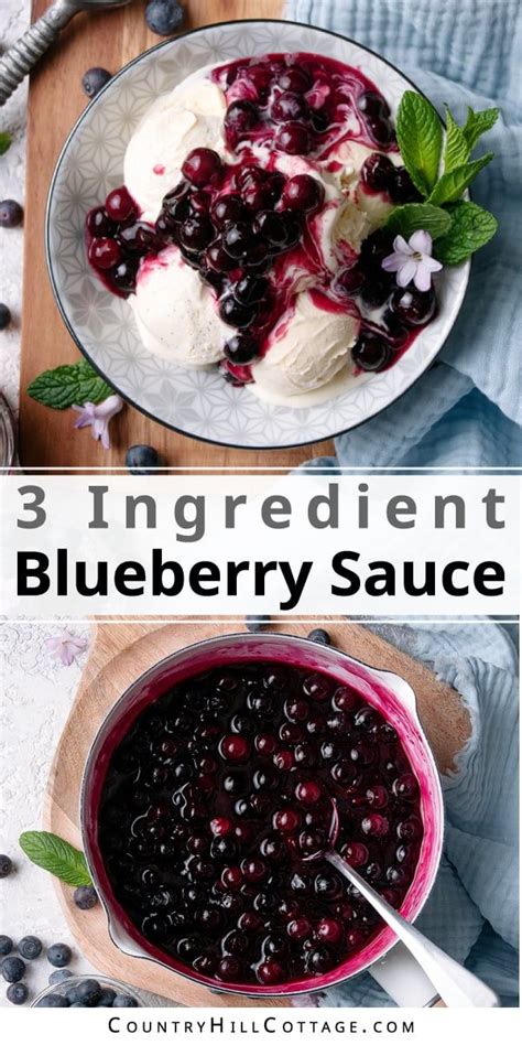 Easy Blueberry Sauce Recipe