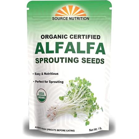 Amazon Todds Seeds Alfalfa Sprouting Seeds Easy To Grow Bulk