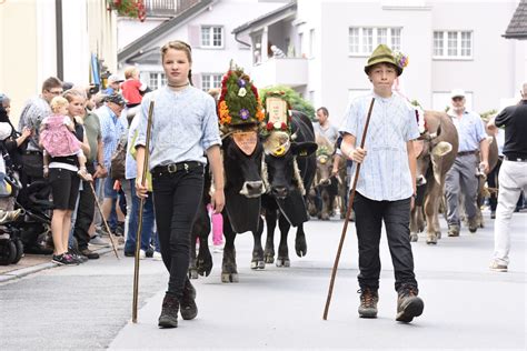 Switzerland Cow Festival: The Best Places to See the Swiss Cow Parades