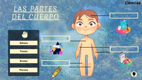 JUEGO PARTES DEL CUERPO