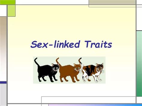 Ppt Sex Linked Traits Powerpoint Presentation Free Download Id2485227