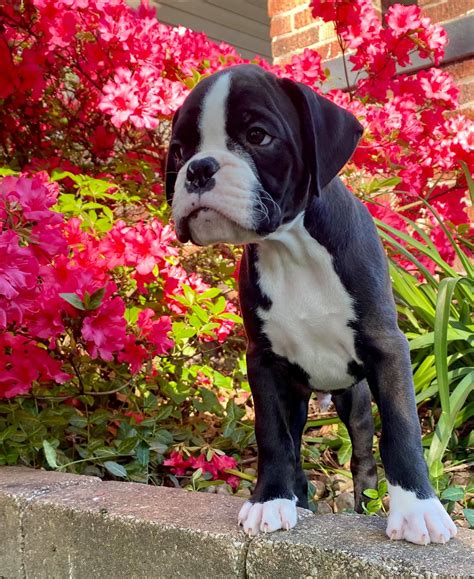 Topeka Real Time News | DAILY DOSE of Mugshots of Topeka is now updated