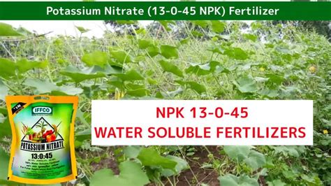 Agriculture Packaging Size 1kg And 25kg Sujala Nop 13 00 45 Water Soluble Fertilizer Potassium