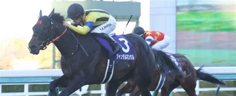 【京都新馬戦】アスクセクシーモア初陣vだ 福永厩舎期待の3億円ホース「操縦性がいい」 スポニチ競馬web