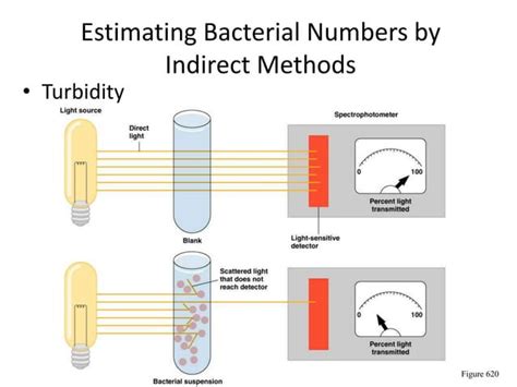 Measuring Microbial Growthppt