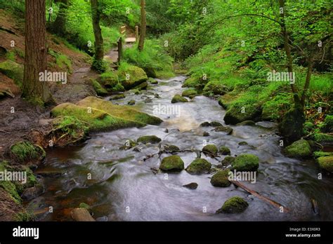 Uk South Yorkshire Sheffield Wyming Brook Waterfalls Woodland Walk