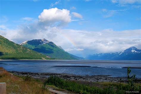 Cook Inlet Cutterlight