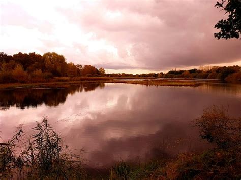 Doesnt Have An Outdoor Feel The Natural World Centre Whisby