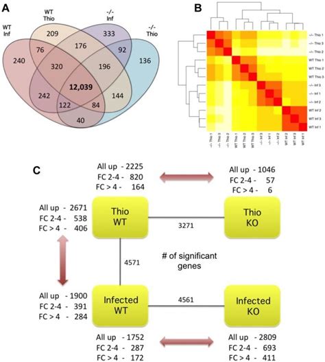 Overall Gene Expression And Differential Expression Analysis A