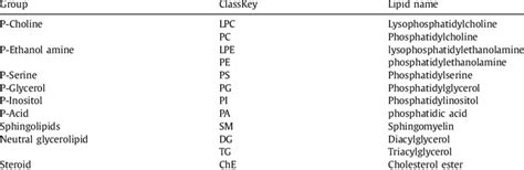 Lipidsearch Nomenclature Of The Identified Lipid Species Download Scientific Diagram