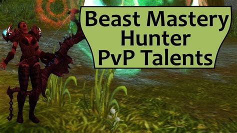 Beast Mastery Hunter Pvp Talents In Legion Youtube