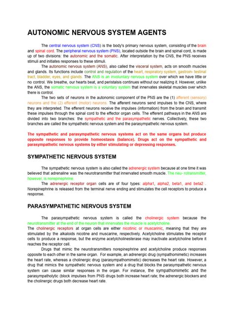 Autonomic Nervous System Agents Pdf Autonomic Nervous System