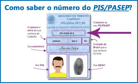 Numero Do Pis é O Mesmo Da Carteira De Trabalho Trabalhador Esforçado