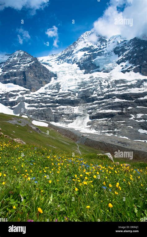 Paysages De Montagne Dans L Oberland Bernois Banque De Photographies Et