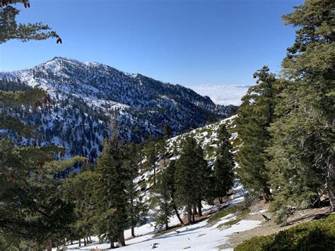 My View Up To Timber Mountain Socalhiking