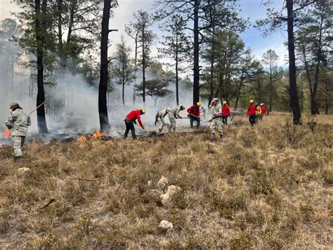 Se Reportan 6 Incendios Forestales Activos En El Estado De Durango