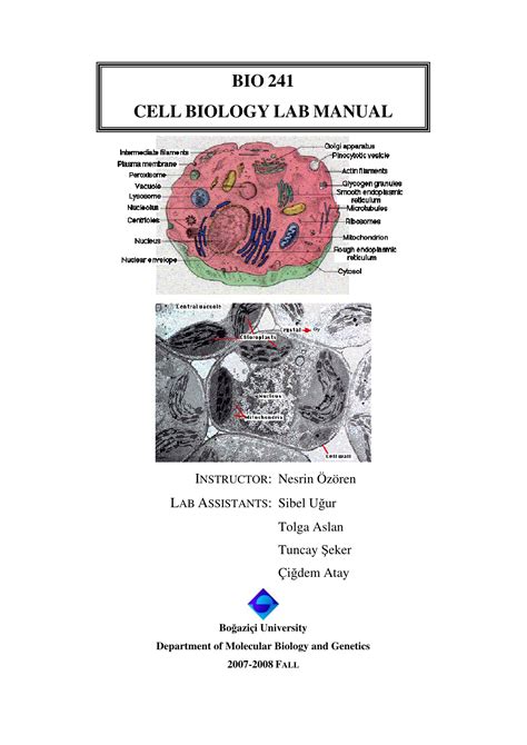 Cell Bio Lab Manual