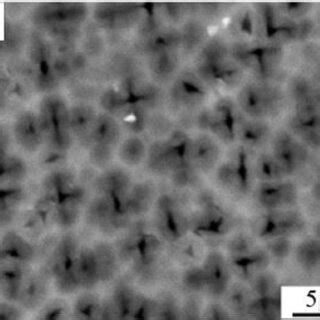 Shows The Sem Surface Images Of Si Etched In Hf Ethanol Sample A And