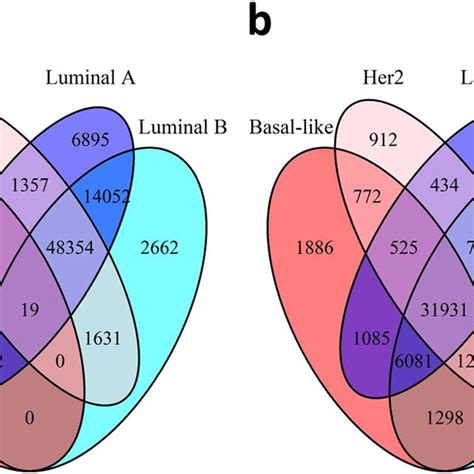 Diagram Of CpG Sites Relative To Gene Regions Transcription Start