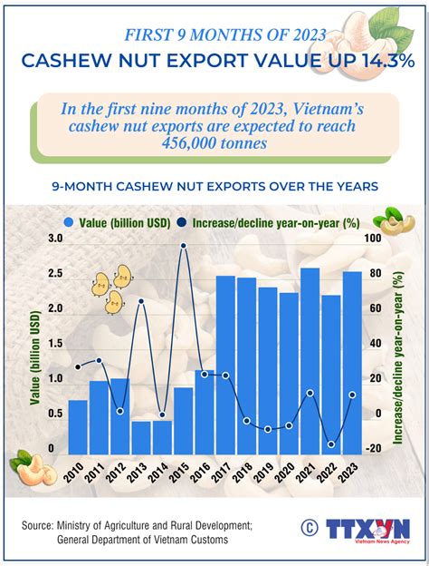 Cashew Nut Exports Up Percent In Value