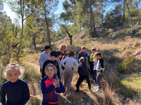 Dia de larbre CEIP DOMÍNGUEZ ROCA